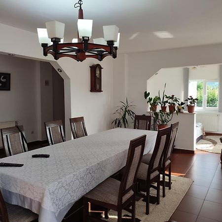 Casa Danci Centru Villa Borsa  Ngoại thất bức ảnh