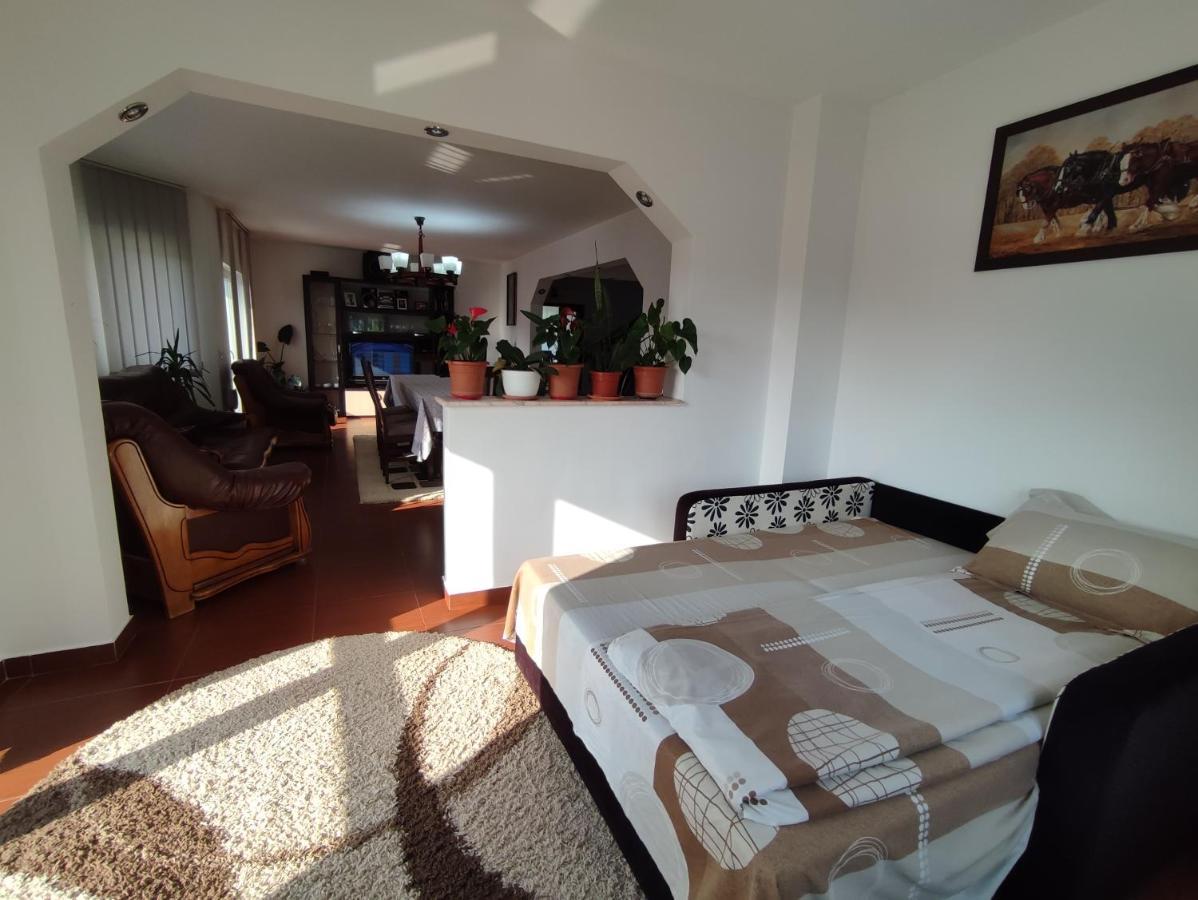 Casa Danci Centru Villa Borsa  Ngoại thất bức ảnh
