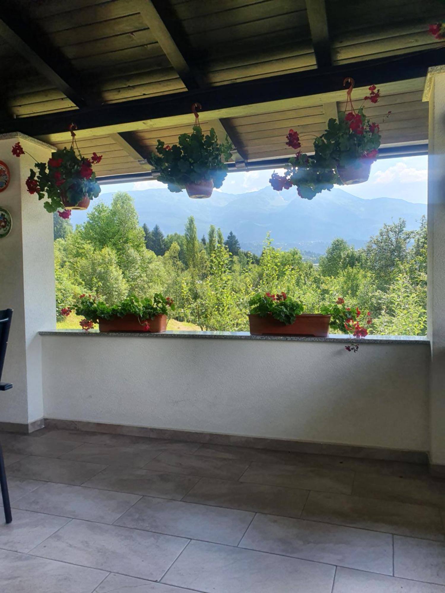 Casa Danci Centru Villa Borsa  Ngoại thất bức ảnh